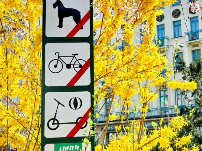 Allowed to forbid
