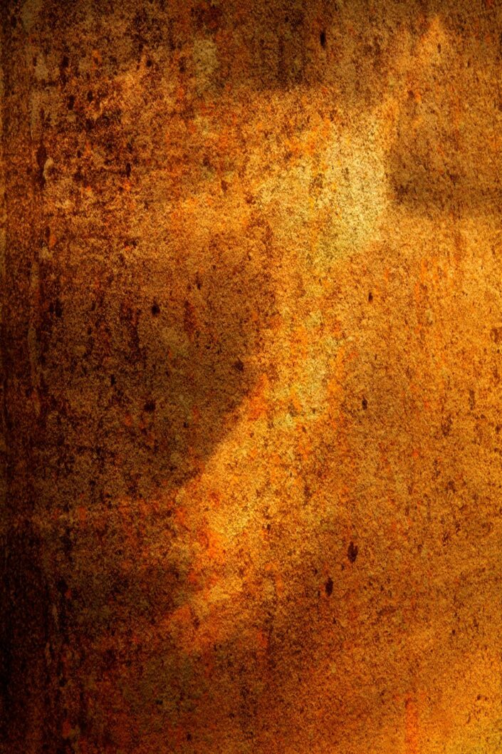 PHENOGRAPHIE_0015