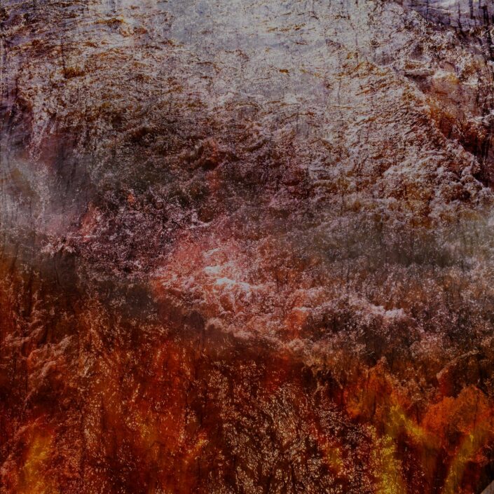 PHENOGRAPHIE_0074