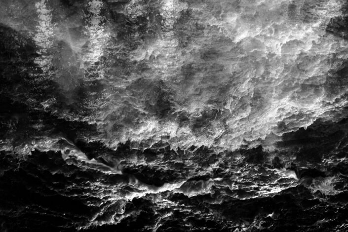 PHENOGRAPHIE_0114