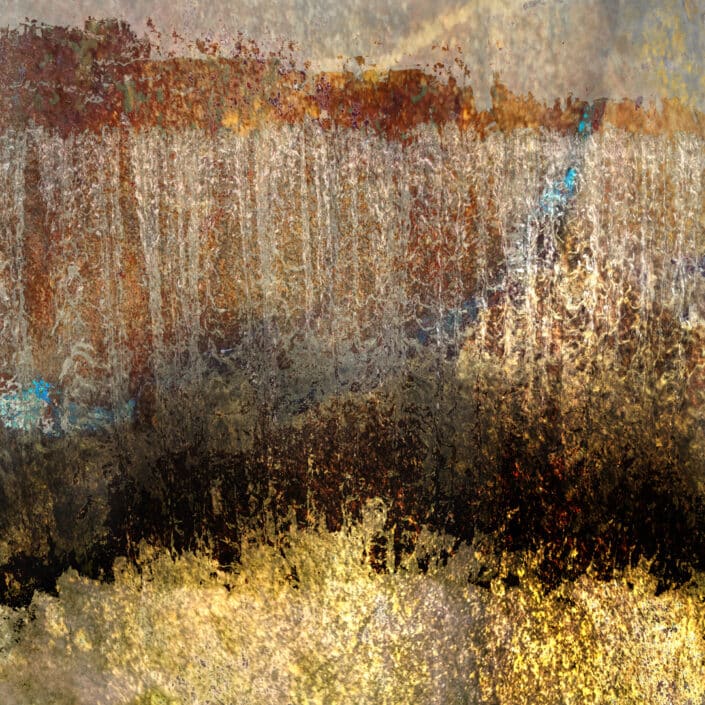 PHENOGRAPHIE_0225