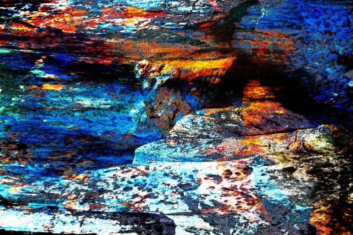 PHENOGRAPHIE_0228