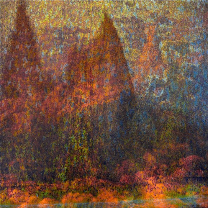 PHENOGRAPHIE_0229