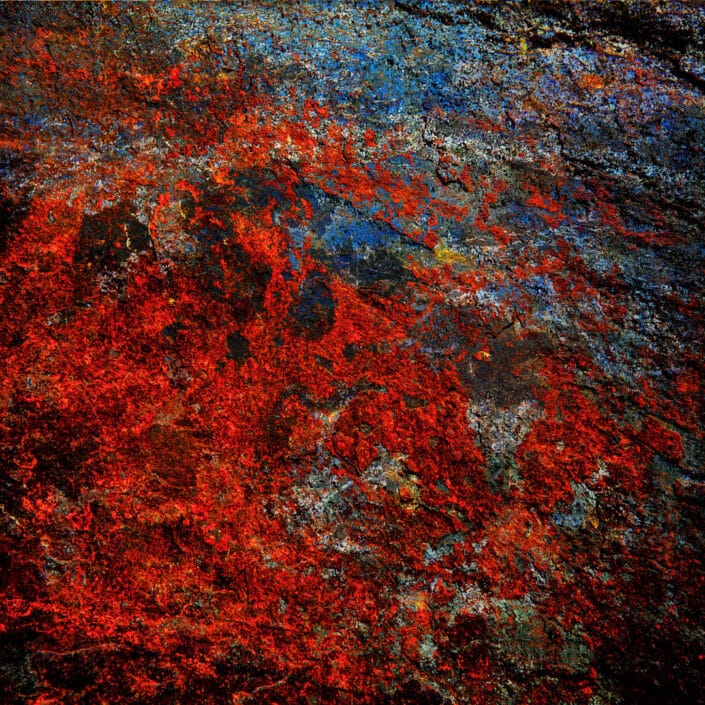 PHENOGRAPHIE_0275
