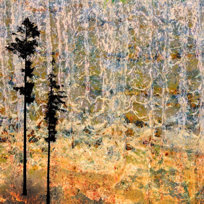 ARBRES_0288_1080