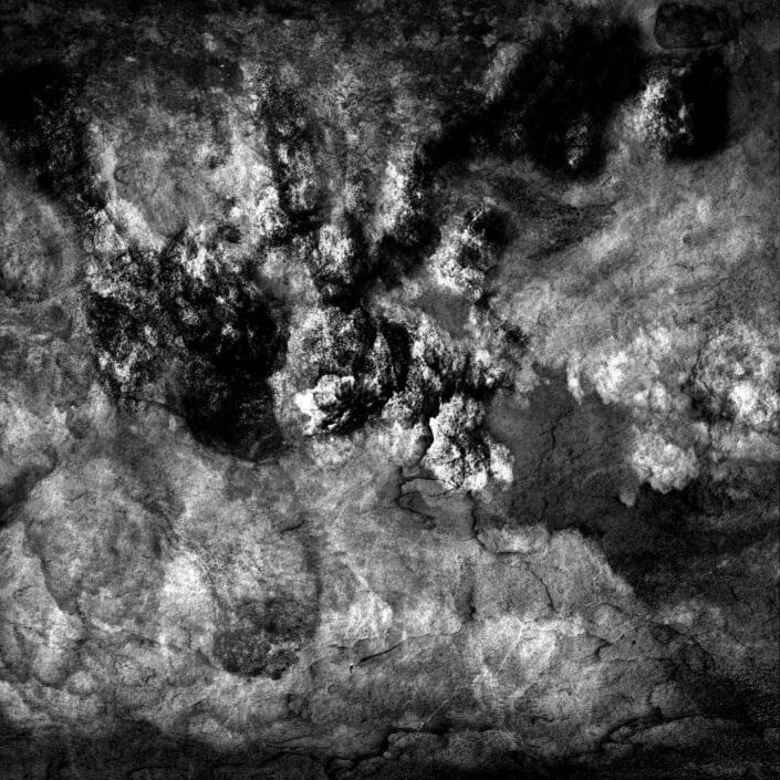 PHENOGRAPHIE_0255