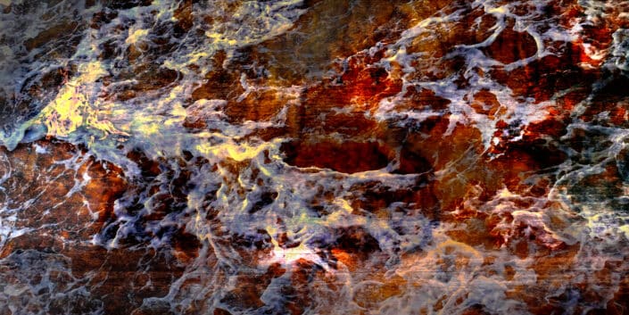 PHENOGRAPHIE_0270