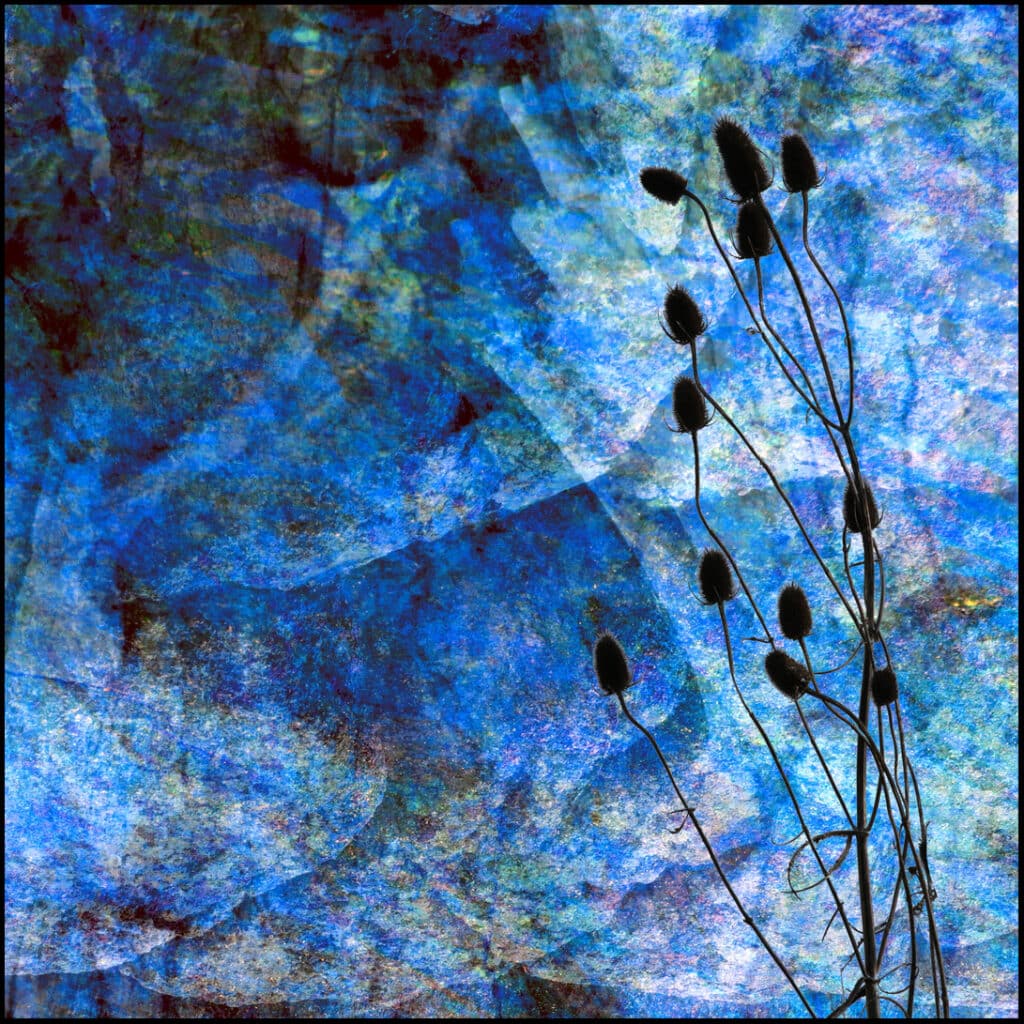 Tableau photographique Francis Teynier 3 MIMESIS 0021 1080 encadre