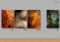 4_Galerie virtuelle_v3_FR_Page_04